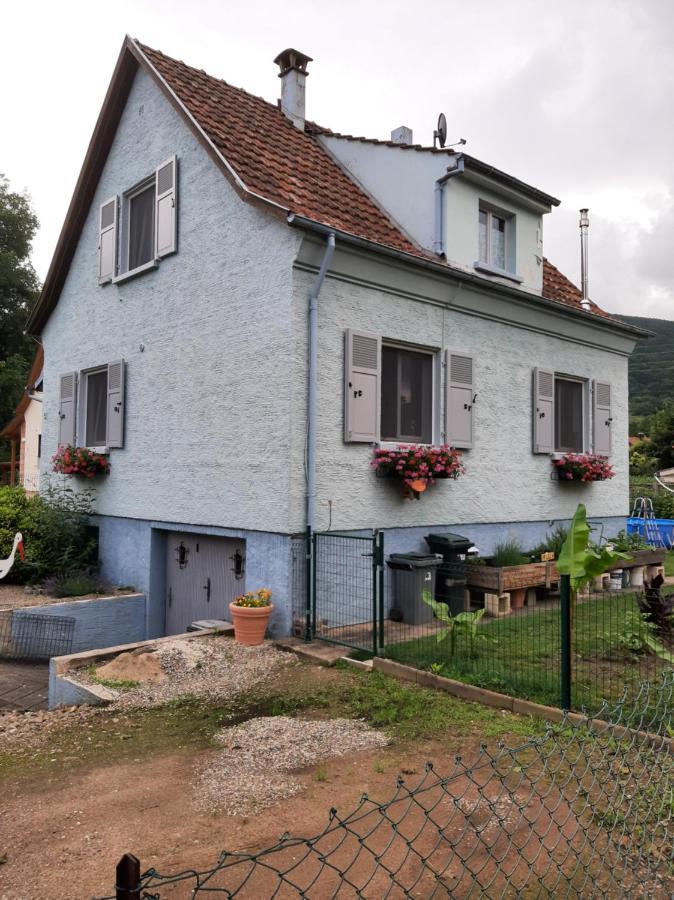 Gite Les Chiwawas D'Alsace 凯泽贝尔 外观 照片